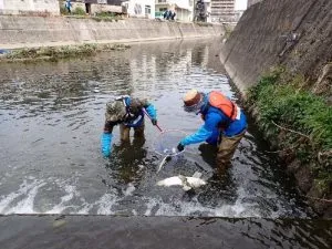 イメージ2