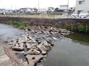 イメージ4