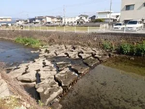 イメージ5